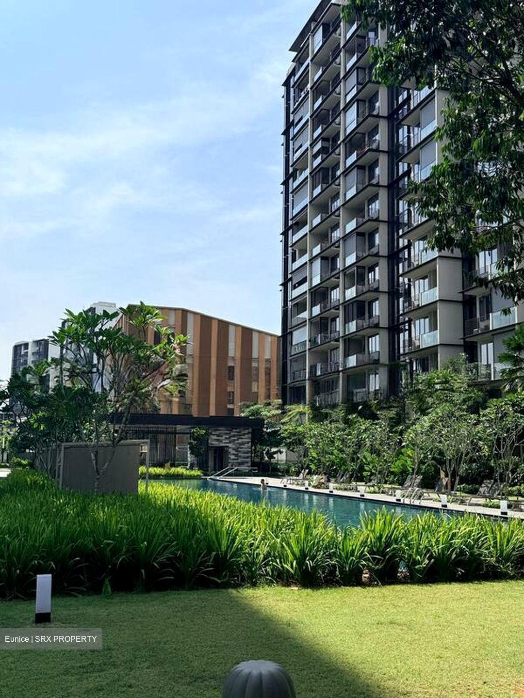 Dairy Farm Residences (D23), Apartment #597245641